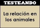 La relación en los animales | Recurso educativo 351029