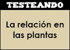 La relación en las plantas | Recurso educativo 352023