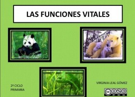 Las funciones vitales | Recurso educativo 494729