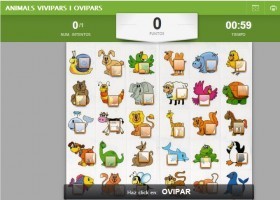 ANIMALS VIVIPARS I OVIPARS | Recurso educativo 501865