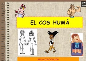 El Cos Humà | Recurso educativo 565027