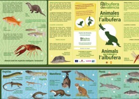 Animals de l'Albufera de València | Recurso educativo 612960