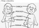 Partes do corpo humano | Recurso educativo 613214