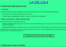 La cèl·lula | Recurso educativo 676048