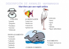 descranimal.pdf - Google Drive | Recurso educativo 677195