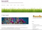 Regne Vegetal | Recurso educativo 677420