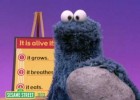 Sesame Street: Who's Alive? | Recurso educativo 680832