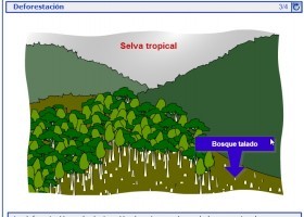 Efectos de las actividades de los seres humanos | Recurso educativo 723391