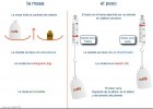 PESO o MASA - Dinamómetro o balanza | Recurso educativo 723687