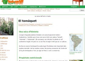 El tomàquet - Horturbà | Recurso educativo 724440