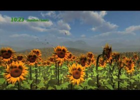 Girasoles | Recurso educativo 724984