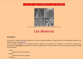 Els bacteris | Recurso educativo 725997