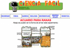 Acuario para ranas | Recurso educativo 726650