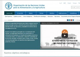 Organització de les Nacions Unides per a l'alimentació | Recurso educativo 732013