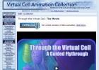 VCAC: Through the Virtual Cell - A Flythrough: The Movie | Recurso educativo 732636