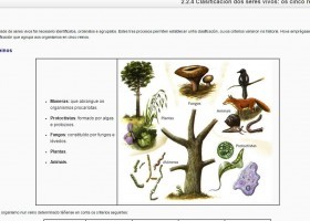 Clasificación dos seres vivos: os cinco reinos | Recurso educativo 735101