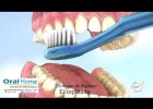 Como cepillarte bien los dientes | Recurso educativo 735606