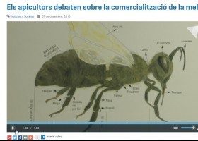 Els apicultors debaten sobre la importància de les abelles | Recurso educativo 741825