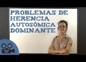 Problemes d'herència autosòmica dominant | Recurso educativo 745081