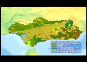 Paisajes de Andalucía | Recurso educativo 746663