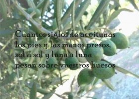 Aceituneros, por Paco Ibáñez | Recurso educativo 748873