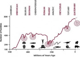 Les 5 grans extincions de la Terra | Recurso educativo 750314