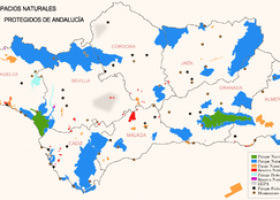 Red de Espacios Naturales Protegidos de Andalucía | Recurso educativo 750916