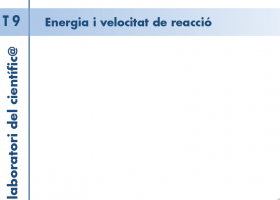 T. 9 Energia i velocitat de reacció | Recurso educativo 752831