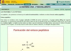 Les proteïnes | Recurso educativo 754696