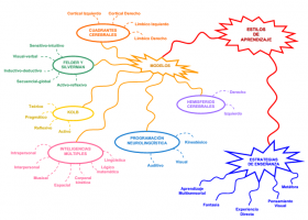 Manual de Estilos de aprendizaje. | Recurso educativo 759386