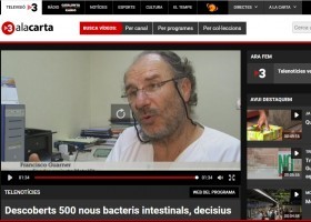 Descoberts 500 nous bacteris intestinals | Recurso educativo 764189