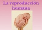 REPRODUCCIÓN HUMANA.pptx | Recurso educativo 768506