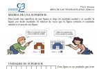 Medida de una superficie | Recurso educativo 774156