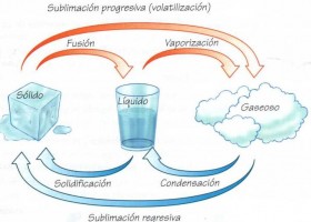 Los cambios de estado del agua | Recurso educativo 774356