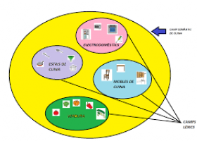 Camps semàntics | Recurso educativo 782185