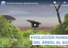 Evolución humana: del árbol al suelo | Recurso educativo 782695