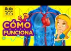 ¿Cómo funciona el Cuerpo Humano? | Recurso educativo 785727