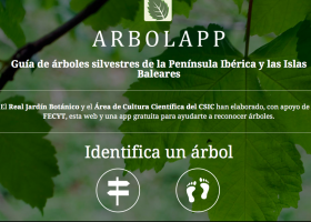 Arbolapp | Recurso educativo 785823