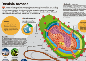 Las arqueas | Recurso educativo 788181