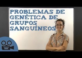 Problemas de xenética de grupos sanguíneos | Recurso educativo 789875