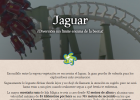 Montaña rusa Jaguar | Recurso educativo 790575