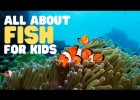 What is a fish? | Recurso educativo 755291